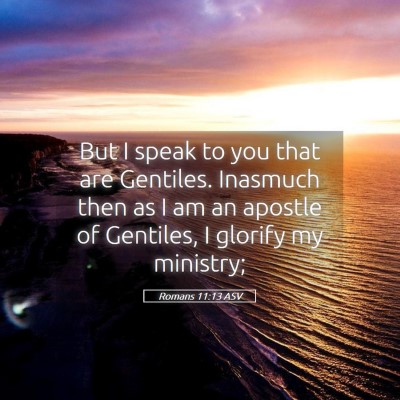 Picture 05 - Romans 11:13 ASV - But I speak to you that are Gentiles. Inasmuch - Bible Verse Picture