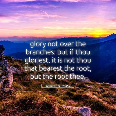 Picture 05 - Romans 11:18 ASV - glory not over the branches: but if thou - Bible Verse Picture