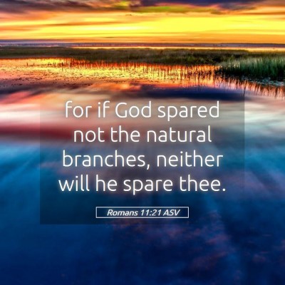 Picture 05 - Romans 11:21 ASV - for if God spared not the natural branches, - Bible Verse Picture