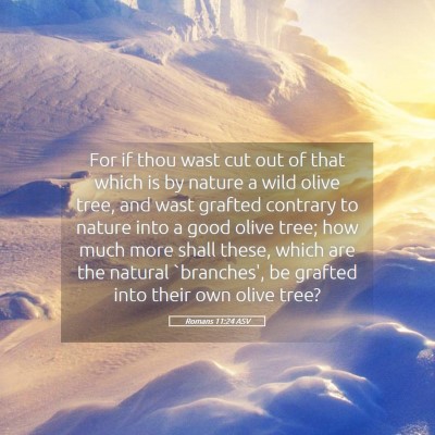 Picture 05 - Romans 11:24 ASV - For if thou wast cut out of that which is by - Bible Verse Picture