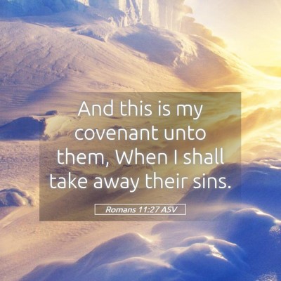 Picture 05 - Romans 11:27 ASV - And this is my covenant unto them, When I shall - Bible Verse Picture