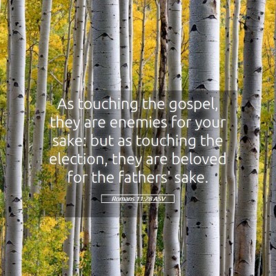 Picture 05 - Romans 11:28 ASV - As touching the gospel, they are enemies for your - Bible Verse Picture