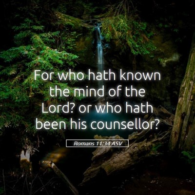 Picture 05 - Romans 11:34 ASV - For who hath known the mind of the Lord? or who - Bible Verse Picture