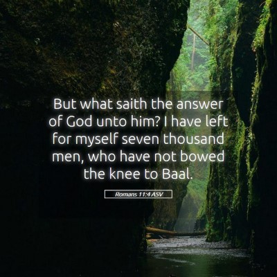 Picture 05 - Romans 11:4 ASV - But what saith the answer of God unto him? I have - Bible Verse Picture