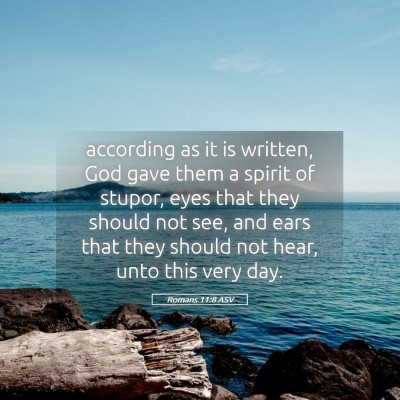 Picture 05 - Romans 11:8 ASV - according as it is written, God gave them a - Bible Verse Picture