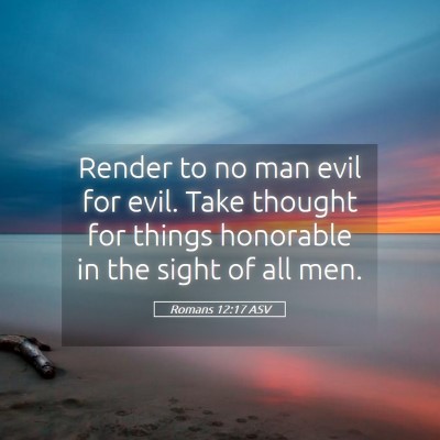 Picture 05 - Romans 12:17 ASV - Render to no man evil for evil. Take thought for - Bible Verse Picture