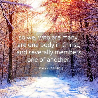 Picture 05 - Romans 12:5 ASV - so we, who are many, are one body in Christ, and - Bible Verse Picture
