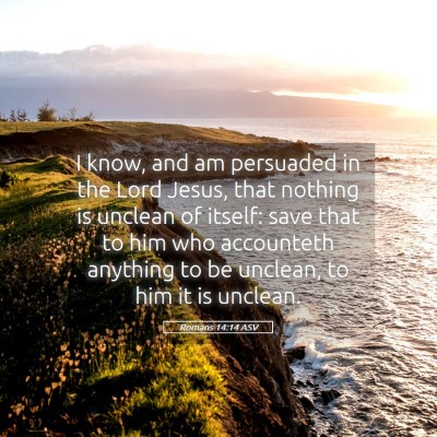 Picture 05 - Romans 14:14 ASV - I know, and am persuaded in the Lord Jesus, that - Bible Verse Picture