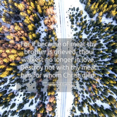 Picture 05 - Romans 14:15 ASV - For if because of meat thy brother is grieved, - Bible Verse Picture