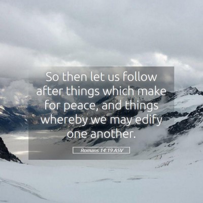 Picture 05 - Romans 14:19 ASV - So then let us follow after things which make for - Bible Verse Picture