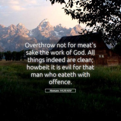Picture 05 - Romans 14:20 ASV - Overthrow not for meat's sake the work of God. - Bible Verse Picture