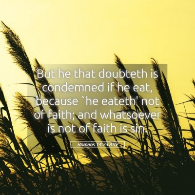 Picture 05 - Romans 14:23 ASV - But he that doubteth is condemned if he eat, - Bible Verse Picture