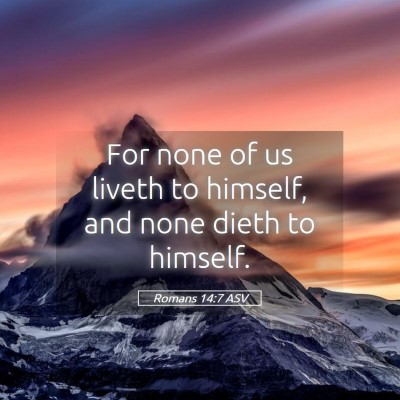 Picture 05 - Romans 14:7 ASV - For none of us liveth to himself, and none dieth - Bible Verse Picture