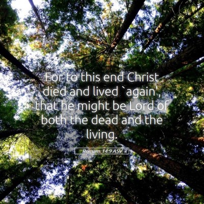 Picture 05 - Romans 14:9 ASV - For to this end Christ died and lived `again', - Bible Verse Picture