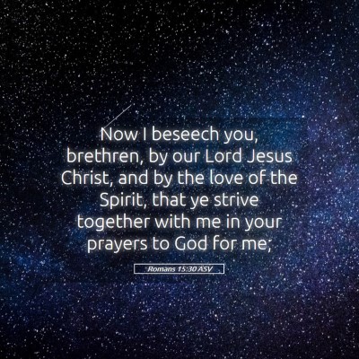 Picture 05 - Romans 15:30 ASV - Now I beseech you, brethren, by our Lord Jesus - Bible Verse Picture