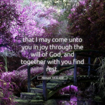 Picture 05 - Romans 15:32 ASV - that I may come unto you in joy through the will - Bible Verse Picture