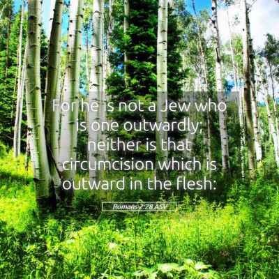 Picture 05 - Romans 2:28 ASV - For he is not a Jew who is one outwardly; neither - Bible Verse Picture