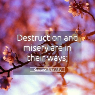 Picture 05 - Romans 3:16 ASV - Destruction and misery are in their - Bible Verse Picture