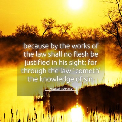 Picture 05 - Romans 3:20 ASV - because by the works of the law shall no flesh be - Bible Verse Picture