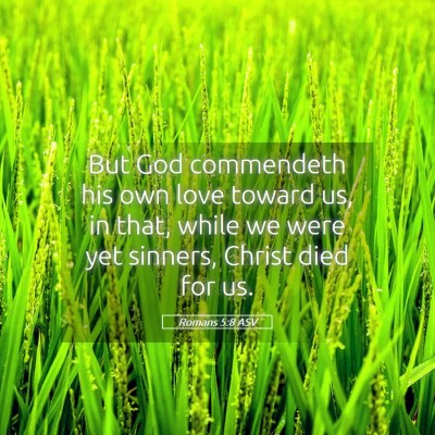 Picture 05 - Romans 5:8 ASV - But God commendeth his own love toward us, in - Bible Verse Picture