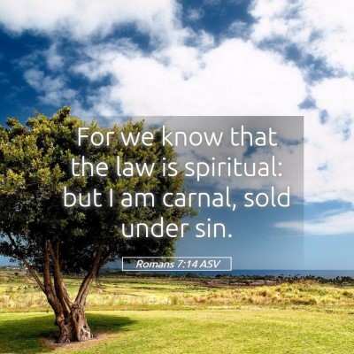 Picture 05 - Romans 7:14 ASV - For we know that the law is spiritual: but I am - Bible Verse Picture