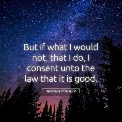 Picture 05 - Romans 7:16 ASV - But if what I would not, that I do, I consent - Bible Verse Picture