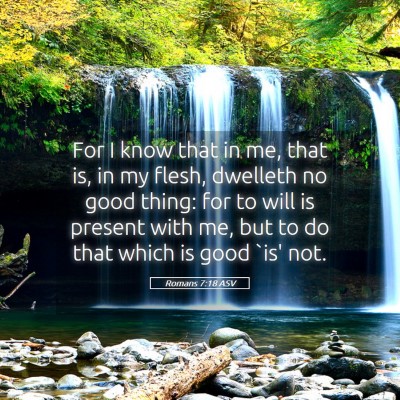 Picture 05 - Romans 7:18 ASV - For I know that in me, that is, in my flesh, - Bible Verse Picture