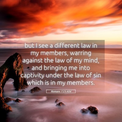 Picture 05 - Romans 7:23 ASV - but I see a different law in my members, warring - Bible Verse Picture