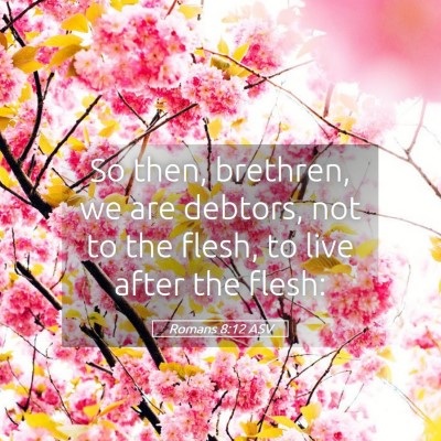 Picture 05 - Romans 8:12 ASV - So then, brethren, we are debtors, not to the - Bible Verse Picture