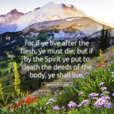Picture 05 - Romans 8:13 ASV - for if ye live after the flesh, ye must die; but - Bible Verse Picture