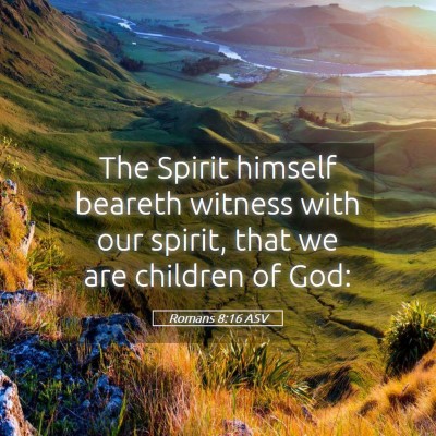 Picture 05 - Romans 8:16 ASV - The Spirit himself beareth witness with our - Bible Verse Picture