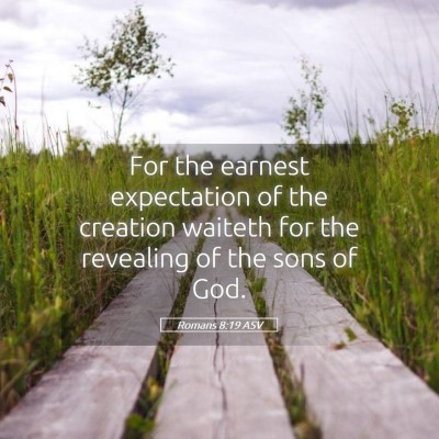 Picture 05 - Romans 8:19 ASV - For the earnest expectation of the creation - Bible Verse Picture