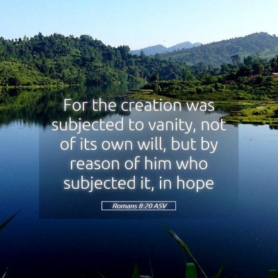 Picture 05 - Romans 8:20 ASV - For the creation was subjected to vanity, not of - Bible Verse Picture