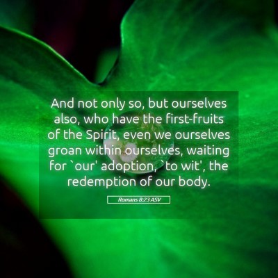 Picture 05 - Romans 8:23 ASV - And not only so, but ourselves also, who have the - Bible Verse Picture