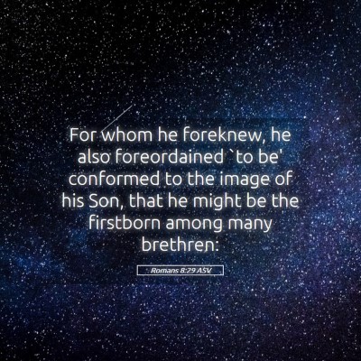 Picture 05 - Romans 8:29 ASV - For whom he foreknew, he also foreordained `to - Bible Verse Picture