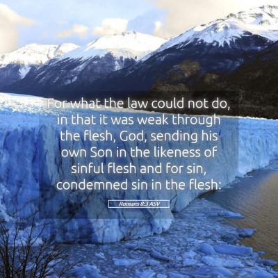 Picture 05 - Romans 8:3 ASV - For what the law could not do, in that it was - Bible Verse Picture