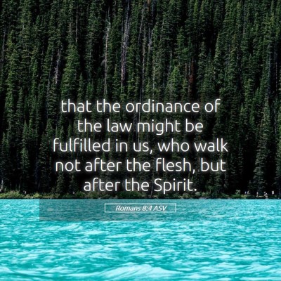 Picture 05 - Romans 8:4 ASV - that the ordinance of the law might be fulfilled - Bible Verse Picture