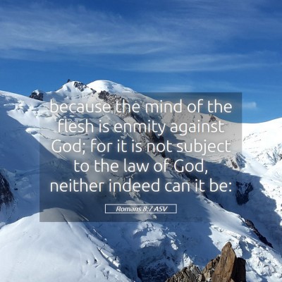 Picture 05 - Romans 8:7 ASV - because the mind of the flesh is enmity against - Bible Verse Picture