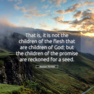 Picture 05 - Romans 9:8 ASV - That is, it is not the children of the flesh that - Bible Verse Picture