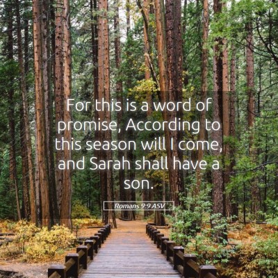 Picture 05 - Romans 9:9 ASV - For this is a word of promise, According to this - Bible Verse Picture