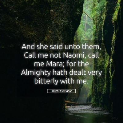 Picture 05 - Ruth 1:20 ASV - And she said unto them, Call me not Naomi, call - Bible Verse Picture