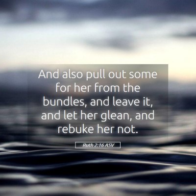 Picture 05 - Ruth 2:16 ASV - And also pull out some for her from the bundles, - Bible Verse Picture