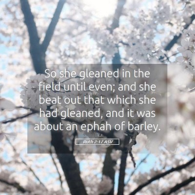 Picture 05 - Ruth 2:17 ASV - So she gleaned in the field until even; and she - Bible Verse Picture
