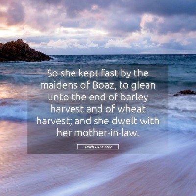 Picture 05 - Ruth 2:23 ASV - So she kept fast by the maidens of Boaz, to glean - Bible Verse Picture