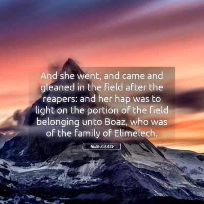 Picture 05 - Ruth 2:3 ASV - And she went, and came and gleaned in the field - Bible Verse Picture