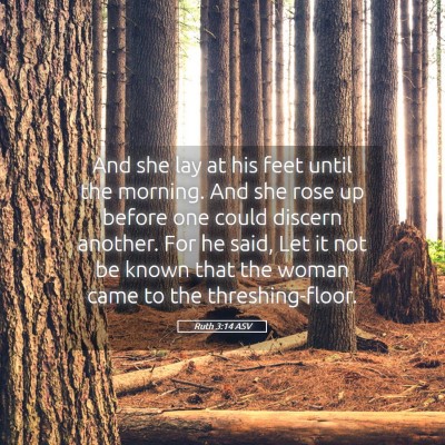 Picture 05 - Ruth 3:14 ASV - And she lay at his feet until the morning. And - Bible Verse Picture