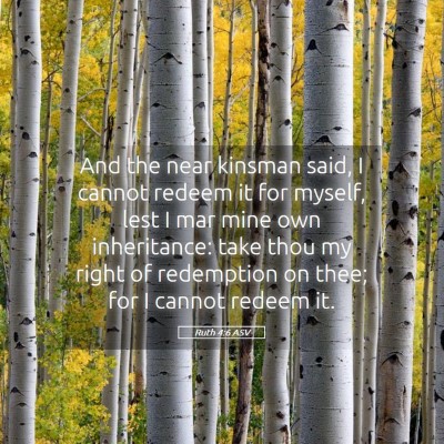 Picture 05 - Ruth 4:6 ASV - And the near kinsman said, I cannot redeem it for - Bible Verse Picture