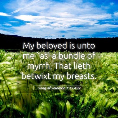 Picture 05 - Song of Solomon 1:13 ASV - My beloved is unto me `as' a bundle of myrrh, - Bible Verse Picture