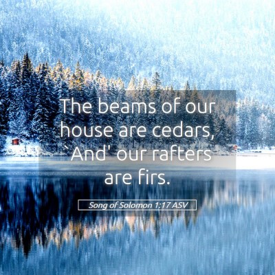 Picture 05 - Song of Solomon 1:17 ASV - The beams of our house are cedars, `And' our - Bible Verse Picture