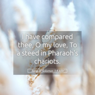 Picture 05 - Song of Solomon 1:9 ASV - I have compared thee, O my love, To a steed in - Bible Verse Picture